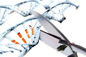 Ученые нашли необычное применение редактору генома CRISPR